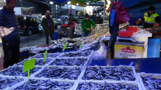 Karadeniz ısındı, hamsi ve palamut azaldı