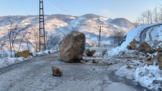 Ordu'da eriyen karlar heyelanlara yol açtı