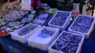 Rize’de deniz suyu ısındı; balık bolluğu azalsa da çeşitlilik sürüyor